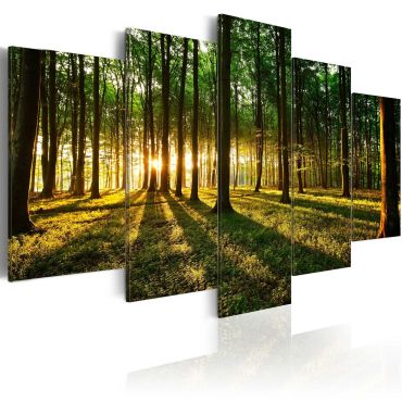 Canvas Print - Adventure in the woods