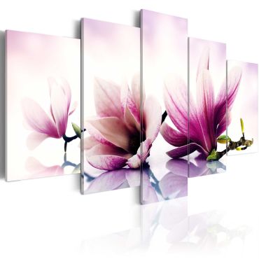 Πίνακας - Pink flowers: magnolias