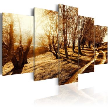 Canvas Print - Amber orchard