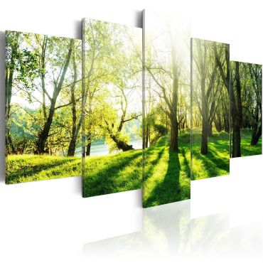 Canvas Print - Green Glade