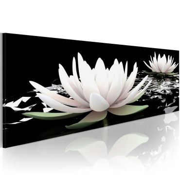 Canvas Print - Lily cruise