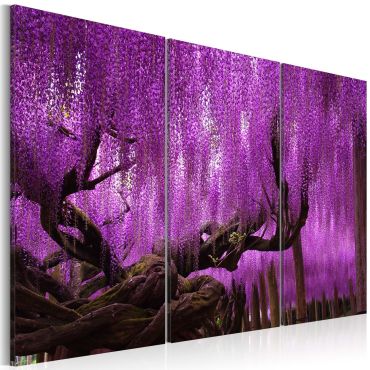 Canvas Print - Wisteria