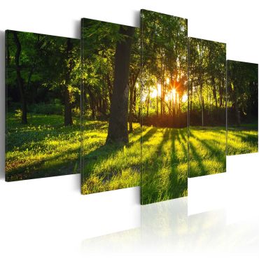 Canvas Print - The forest reflection