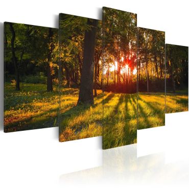 Canvas Print - In the shade of forest