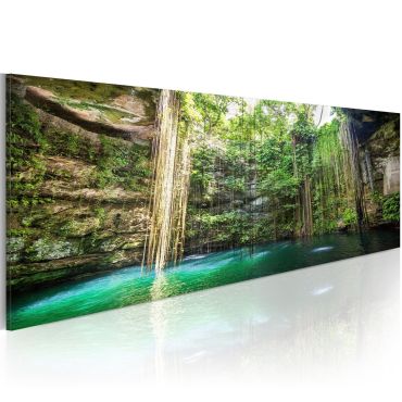 Canvas Print - Hidden Treasure of the Nature