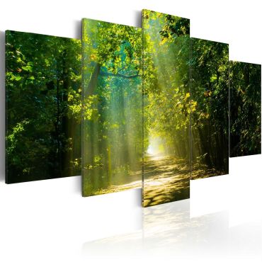 Canvas Print - Sunshine Road