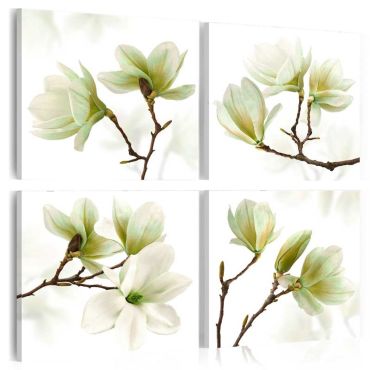 Canvas Print - Admiration of Magnolia