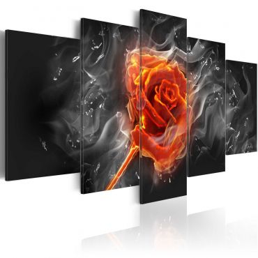 Πίνακας - Fiery Rose