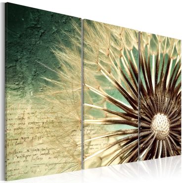 Canvas Print - Transitory Beauty