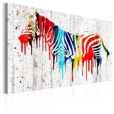 Canvas Print - Colourful Zebra
