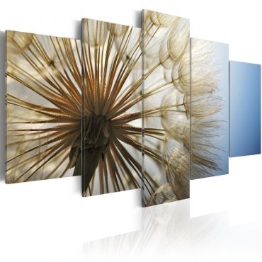 Canvas Print - Admiration of Gentleness