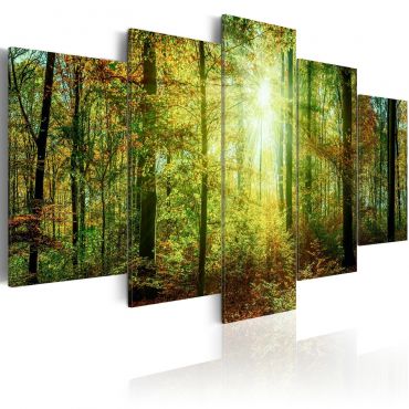 Canvas Print - Wild Forest