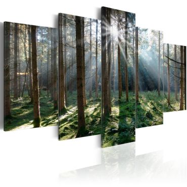 Canvas Print - Fairytale Forest 
