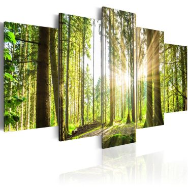 Canvas Print - Forest Kingdom