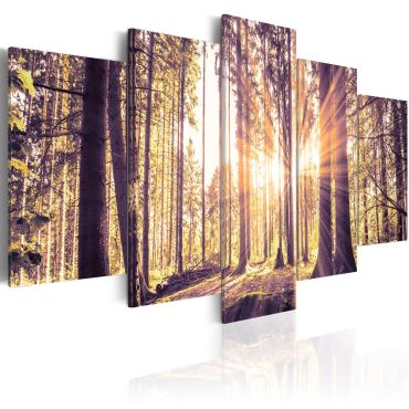 Canvas Print - Morning Idyll