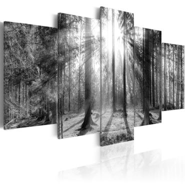 Canvas Print - Forest of Memories
