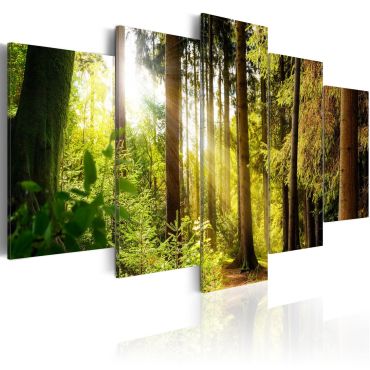 Canvas Print - Morning's Song