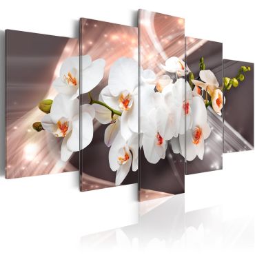 Canvas Print - Echo of Beauty