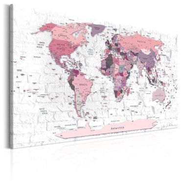 Canvas Print - Pink Frontiers