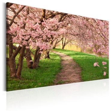 Canvas Print - Lovers Path