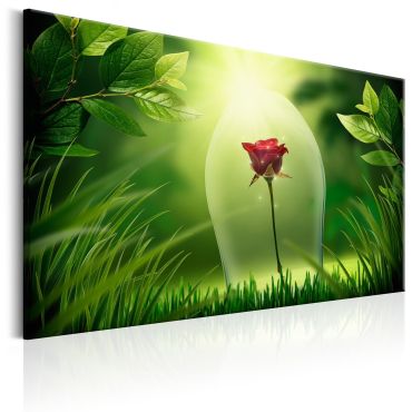 Canvas Print - Magical Rose