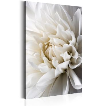 Canvas Print - White Dahlia