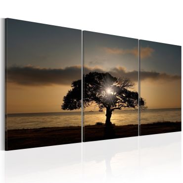 Canvas Print - Extraordinary Nature 120x60