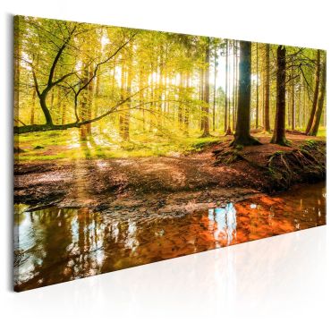 Canvas Print - Autumnal Reverie