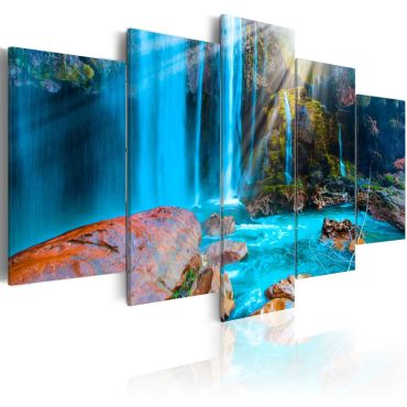Canvas Print - Treasures of Nature