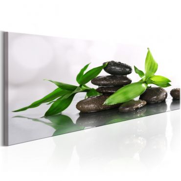 Canvas Print - SPA: Bamboo and Stones