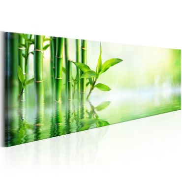 Πίνακας - Green Bamboo