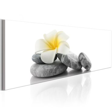 Canvas Print - White Lotus