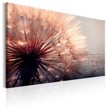 Canvas Print - Pink Gentleness