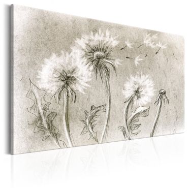 Canvas Print - Dandelions (Pencil Artwork)
