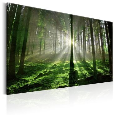 Canvas Print - Emerald Forest II