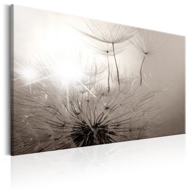 Canvas Print - Beautiful Summer: Dandelions