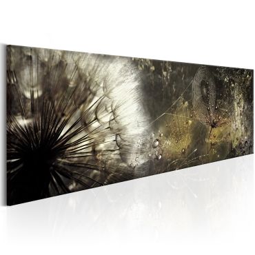 Canvas Print - Enchanted Morning
