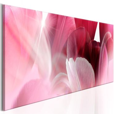 Πίνακας - Flowers: Pink Tulips