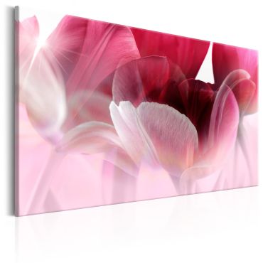 Πίνακας - Nature: Pink Tulips