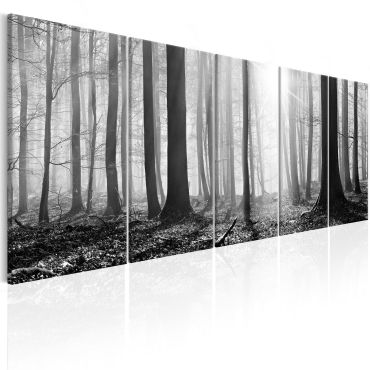 Πίνακας - Monochrome Forest