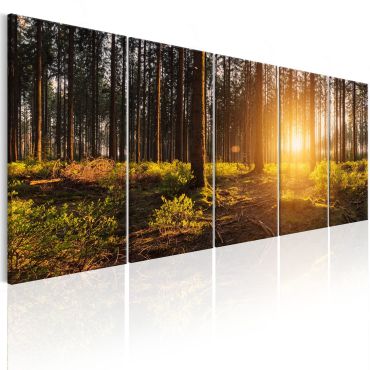 Canvas Print - Summer Morning