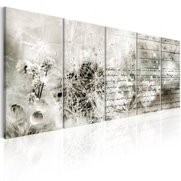 Canvas Print - Full of Secrets I