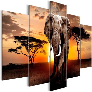 Πίνακας - Wandering Elephant (5 Parts) Wide 225x100