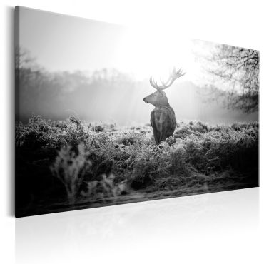 Πίνακας - Black and White Deer