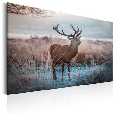 Canvas Print - Wild Animal