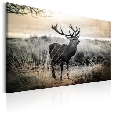 Canvas Print - Dangerous Horns