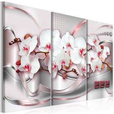 Canvas Print - Wonderful Orchids I