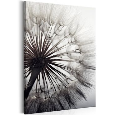Canvas Print - Pure Delicacy 40x60