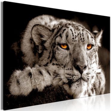 Canvas Print - Magic Eyes (1 Part) Wide