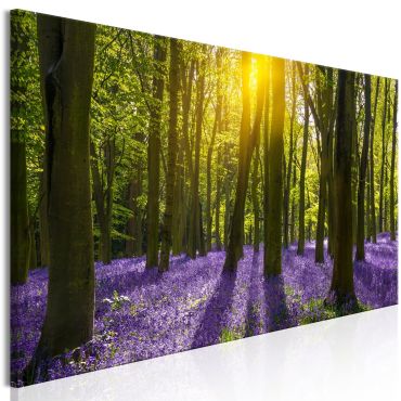 Canvas Print - Hyacinth Field (1 Part) Narrow